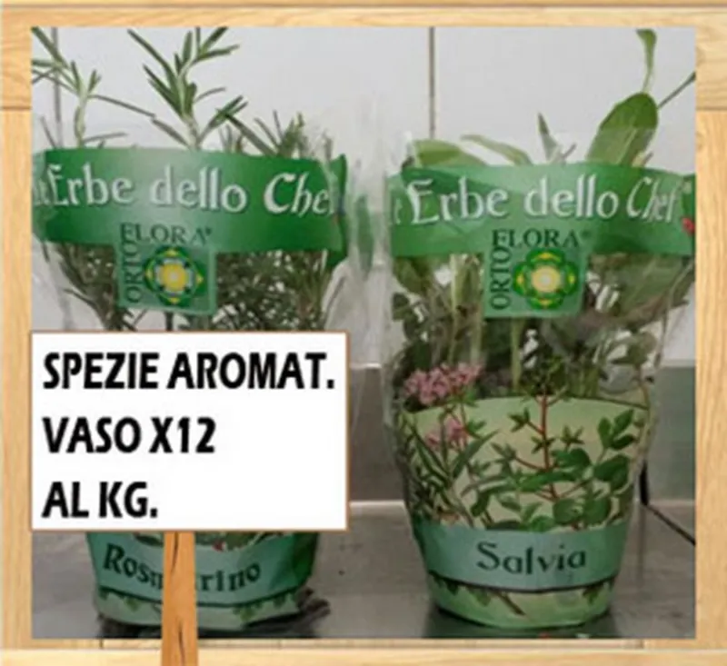 MENTA VASO