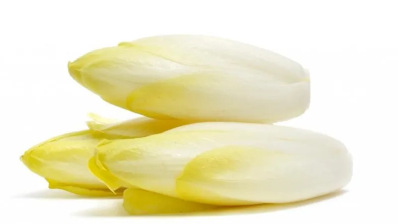 INSALATA BELGA