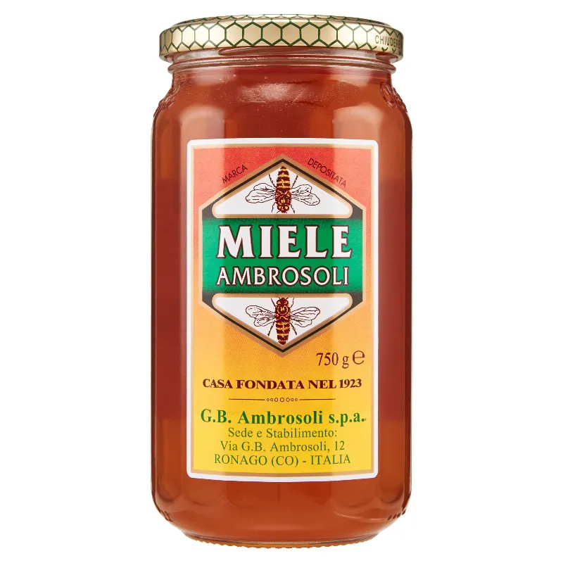 AMBROSOLI MIELE MILLEFIORI VASETTO GR.750