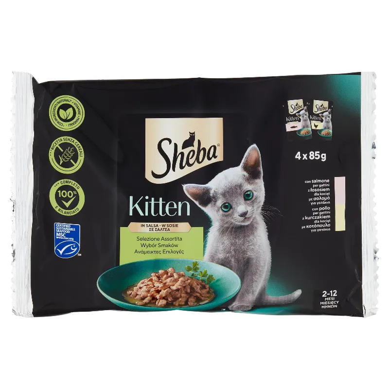 SHEBA KITTEN IN SALSA SALMOLE/POLLO GR.85 X4