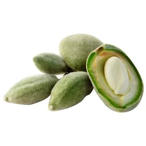 MANDORLE FRESCHE