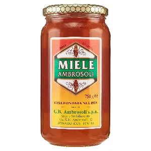 AMBROSOLI MIELE MILLEFIORI VASETTO GR.750