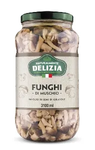 DELIZIA FUNGHI MUSCHIO ML.3100