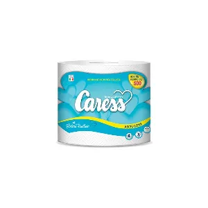 CARESS BOBINA ASCIUGONE 500 2V H22 C/MANICO