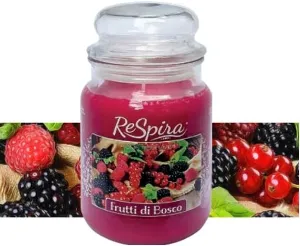 RESPIRA CANDELA GIARA PROF.FRUTTI BOSCO GR.500
