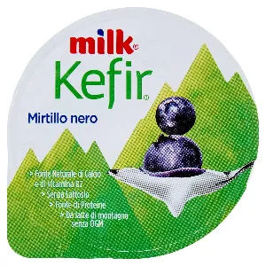 MILK KEFIR CREMOSO MIRTILLO NERO GR.150