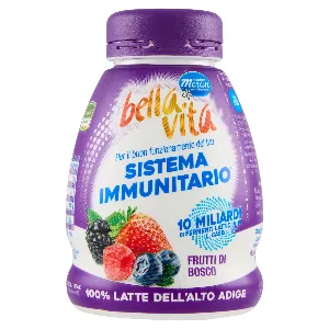 MERANO YOGURT B.VITA DRINK FRUTTI BOSCO GR.200