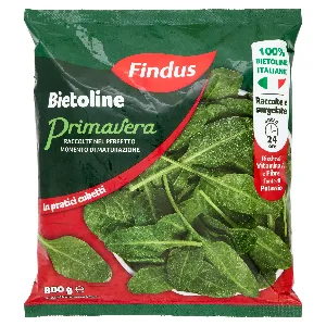 FINDUS BIETOLINE PRIMAVERA GR.800