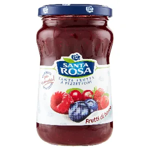SANTA ROSA CONFETTURA DELIZIE FRUTTI BOSCO GR.350